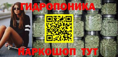 шишки Можайск
