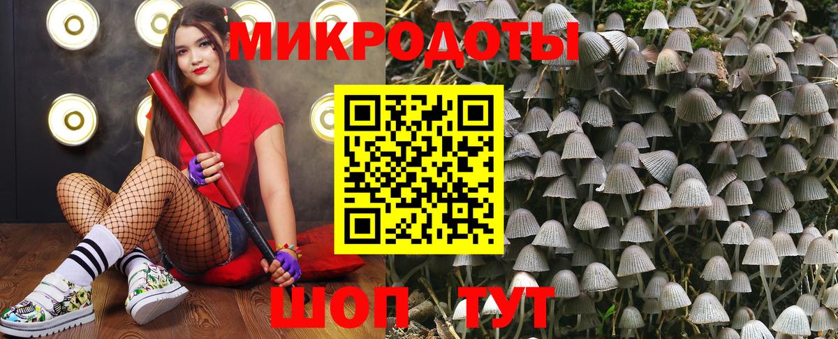 Галлюциногенные грибы мицелий Шелехов